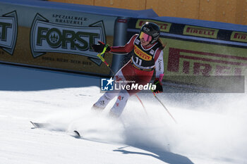2024-01-28 - ALPINE SKIING - FIS WC 2023-2024
Women's World Cup SG
Cortina D'Ampezzo, Veneto, Italy
2024-01-28 - Sunday
Image shows: VENIER Stephanie (AUT) SECOND CLASSIFIED














































































































 - 2024 AUDI FIS WORLD CUP - WOMEN'S SUPER-G - ALPINE SKIING - WINTER SPORTS