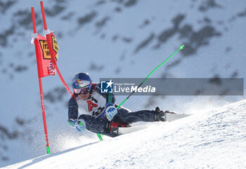 2024-10-27 - FIS Ski World Cup 2024-2025 - Men 's World Cup giant slalom Solden Saturday 27 October 2024 Pinheiro Lucas Braathen (BRA) - GIANTS SLALOM MEN WORLD CUP - ALPINE SKIING - WINTER SPORTS