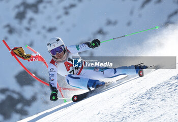 2024-10-27 - FIS Ski World Cup 2024-2025 - Men 's World Cup giant slalom Solden Saturday 27 October 2024 Katayama Ryoma (JPN) - GIANTS SLALOM MEN WORLD CUP - ALPINE SKIING - WINTER SPORTS