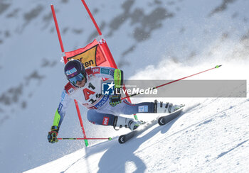 2024-10-27 - FIS Ski World Cup 2024-2025 -
Men ’s World Cup giant slalom Solden
Saturday 27 October 2024


Third place: Lie McGrath









































































































 - GIANTS SLALOM MEN WORLD CUP - ALPINE SKIING - WINTER SPORTS