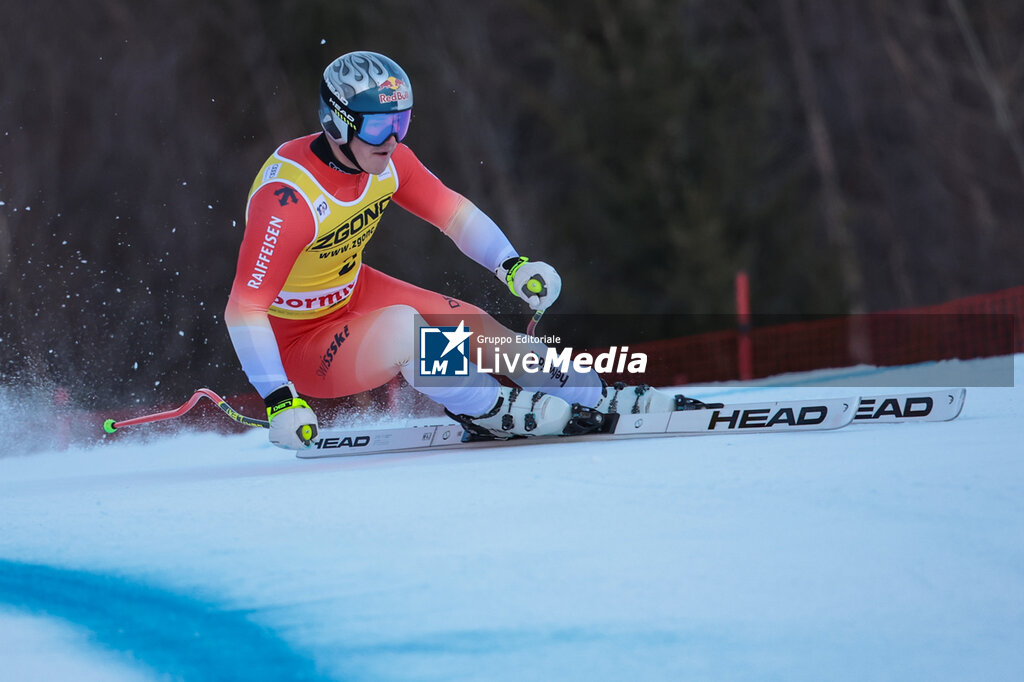 AUDI FIS Ski World Cup - Downhill Training - Men - ALPINE SKIING - WINTER SPORTS