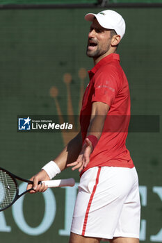 2024-04-12 - Novak Djokovic of Serbia during day 6 of the Rolex Monte-Carlo 2024, ATP Masters 1000 tennis event on April 12, 2024 at Monte-Carlo Country Club near Monaco in Roquebrune Cap Martin, France - TENNIS - ROLEX MONTE CARLO MASTERS 2024 - 12/04 - INTERNATIONALS - TENNIS