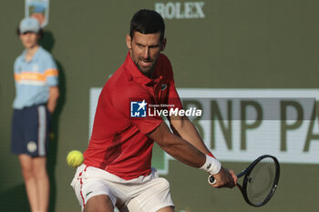 2024-04-13 - Novak Djokovic of Serbia during day seven of the Rolex Monte-Carlo 2024, ATP Masters 1000 tennis event on April 13, 2024 at Monte-Carlo Country Club in Roquebrune Cap Martin, France - TENNIS - ROLEX MONTE CARLO MASTERS 2024 - 13/04 - INTERNATIONALS - TENNIS