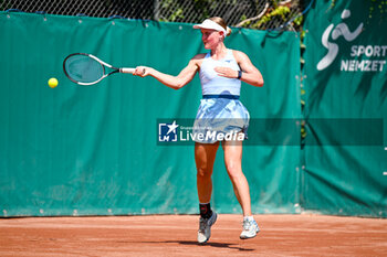 2024-07-15 - Suzan Lamens (NED) during the single match against Varvara Gracheva (FRA) at the WTA250 Hungarian Gran Prix Tennis on 15th July 2024 at Romai Teniszakademia, Budapest, Hungary - WTATOUR VARVARA GRACHEVA VS SUZAN LAMENS - INTERNATIONALS - TENNIS