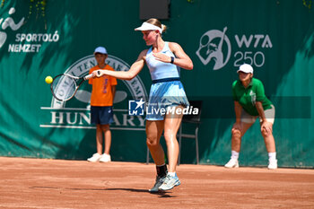 2024-07-15 - Suzan Lamens (NED) during the single match against Varvara Gracheva (FRA) at the WTA250 Hungarian Gran Prix Tennis on 15th July 2024 at Romai Teniszakademia, Budapest, Hungary - WTATOUR VARVARA GRACHEVA VS SUZAN LAMENS - INTERNATIONALS - TENNIS