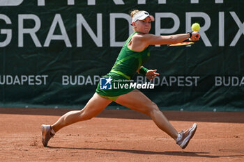 2024-07-17 - Aliaksandra Sasnovich during the single match vs. Maria Tomofeva at the WTA250 Hungarian Gran Prix Tennis on 17th July 2024 at Romai Teniszakademia, Budapest, Hungary - WTATOUR DAY 5 ROUND OF 16 - INTERNATIONALS - TENNIS