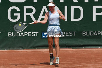 2024-07-17 - Suzan Lamens (NED) during the single match vs. Carole Monnet (FRA) at the WTA250 Hungarian Gran Prix Tennis on 17th July 2024 at Romai Teniszakademia, Budapest, Hungary - WTATOUR DAY 5 ROUND OF 16 - INTERNATIONALS - TENNIS