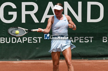 2024-07-17 - Suzan Lamens (NED) during the single match vs. Carole Monnet (FRA) at the WTA250 Hungarian Gran Prix Tennis on 17th July 2024 at Romai Teniszakademia, Budapest, Hungary - WTATOUR DAY 5 ROUND OF 16 - INTERNATIONALS - TENNIS