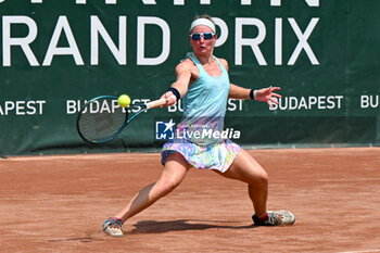 2024-07-17 - Carole Monnet (FRA) during the single match vs. Suzan Lamens (NED) at the WTA250 Hungarian Gran Prix Tennis on 17th July 2024 at Romai Teniszakademia, Budapest, Hungary - WTATOUR DAY 5 ROUND OF 16 - INTERNATIONALS - TENNIS