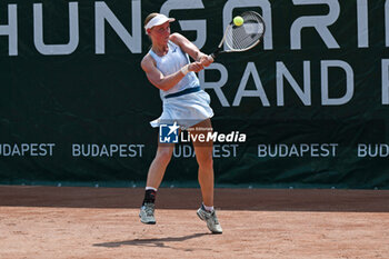 2024-07-17 - Suzan Lamens (NED) during the single match vs. Carole Monnet (FRA) at the WTA250 Hungarian Gran Prix Tennis on 17th July 2024 at Romai Teniszakademia, Budapest, Hungary - WTATOUR DAY 5 ROUND OF 16 - INTERNATIONALS - TENNIS