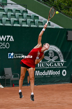 2024-07-17 - Anna Karolina Schmiedlova (SVK) during the single match vs. Sara Sorribes Tormo (SPA) at the WTA250 Hungarian Gran Prix Tennis on 17th July 2024 at Romai Teniszakademia, Budapest, Hungary - WTATOUR DAY 5 ROUND OF 16 - INTERNATIONALS - TENNIS