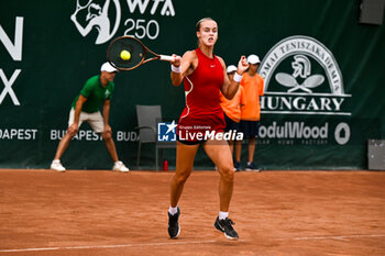 2024-07-17 - Anna Karolina Schmiedlova (SVK) during the single match vs. Sara Sorribes Tormo (SPA) at the WTA250 Hungarian Gran Prix Tennis on 17th July 2024 at Romai Teniszakademia, Budapest, Hungary - WTATOUR DAY 5 ROUND OF 16 - INTERNATIONALS - TENNIS