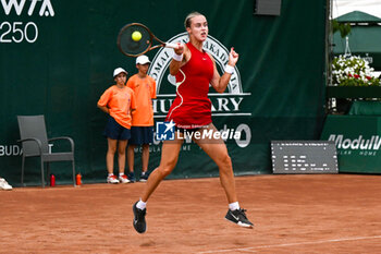 2024-07-17 - Anna Karolina Schmiedlova (SVK) during the single match vs. Sara Sorribes Tormo (SPA) at the WTA250 Hungarian Gran Prix Tennis on 17th July 2024 at Romai Teniszakademia, Budapest, Hungary - WTATOUR DAY 5 ROUND OF 16 - INTERNATIONALS - TENNIS