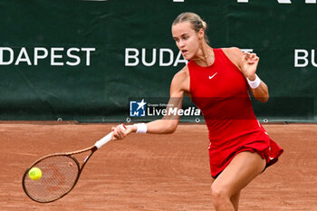 2024-07-17 - Anna Karolina Schmiedlova (SVK) during the single match vs. Sara Sorribes Tormo (SPA) at the WTA250 Hungarian Gran Prix Tennis on 17th July 2024 at Romai Teniszakademia, Budapest, Hungary - WTATOUR DAY 5 ROUND OF 16 - INTERNATIONALS - TENNIS