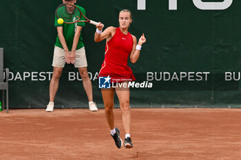 2024-07-17 - Anna Karolina Schmiedlova (SVK) during the single match vs. Sara Sorribes Tormo (SPA) at the WTA250 Hungarian Gran Prix Tennis on 17th July 2024 at Romai Teniszakademia, Budapest, Hungary - WTATOUR DAY 5 ROUND OF 16 - INTERNATIONALS - TENNIS