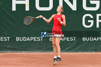 2024-07-17 - Anna Karolina Schmiedlova (SVK) during the single match vs. Sara Sorribes Tormo (SPA) at the WTA250 Hungarian Gran Prix Tennis on 17th July 2024 at Romai Teniszakademia, Budapest, Hungary - WTATOUR DAY 5 ROUND OF 16 - INTERNATIONALS - TENNIS