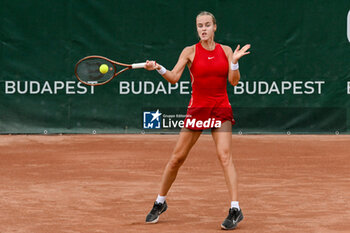 2024-07-17 - Anna Karolina Schmiedlova (SVK) during the single match vs. Sara Sorribes Tormo (SPA) at the WTA250 Hungarian Gran Prix Tennis on 17th July 2024 at Romai Teniszakademia, Budapest, Hungary - WTATOUR DAY 5 ROUND OF 16 - INTERNATIONALS - TENNIS