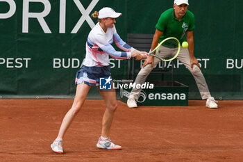 2024-07-21 - Aliaksandra Sasnovich during the final match vs. Diana Shnaider at the WTA250 Hungarian Gran Prix Tennis on 19th July 2024 at Romai Teniszakademia, Budapest, Hungary - WTA HUNGARIAN GRAND PRIX - FINAL - INTERNATIONALS - TENNIS