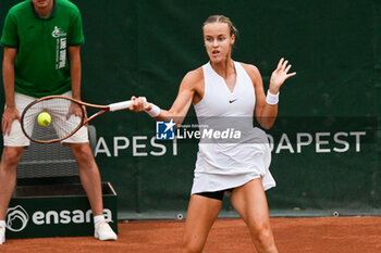 2024-07-20 - Anna Karolina Schmiedlova (SVK) during the quarter finals match vs. Aliaksandra Sasnovich at the WTA250 Hungarian Gran Prix Tennis on 19th July 2024 at Romai Teniszakademia, Budapest, Hungary - WTA HUNGARIAN GRAND PRIX - SEMIFINAL - INTERNATIONALS - TENNIS