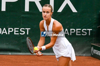 2024-07-20 - Anna Karolina Schmiedlova (SVK) during the quarter finals match vs. Aliaksandra Sasnovich at the WTA250 Hungarian Gran Prix Tennis on 19th July 2024 at Romai Teniszakademia, Budapest, Hungary - WTA HUNGARIAN GRAND PRIX - SEMIFINAL - INTERNATIONALS - TENNIS