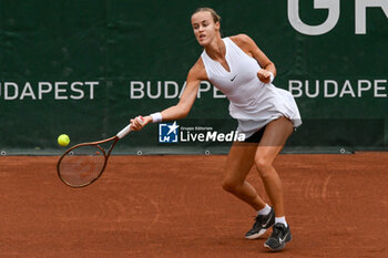 2024-07-20 - Anna Karolina Schmiedlova (SVK) during the quarter finals match vs. Aliaksandra Sasnovich at the WTA250 Hungarian Gran Prix Tennis on 19th July 2024 at Romai Teniszakademia, Budapest, Hungary - WTA HUNGARIAN GRAND PRIX - SEMIFINAL - INTERNATIONALS - TENNIS