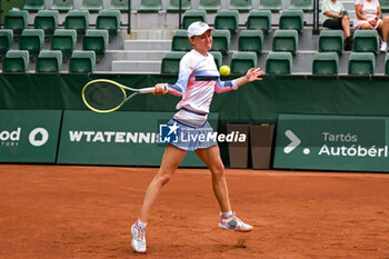 2024-07-20 - Aliaksandra Sasnovich during the quarter finals match vs. Anna Karolina Schmiedlova (SVK) at the WTA250 Hungarian Gran Prix Tennis on 19th July 2024 at Romai Teniszakademia, Budapest, Hungary - WTA HUNGARIAN GRAND PRIX - SEMIFINAL - INTERNATIONALS - TENNIS