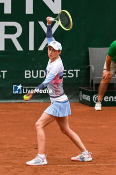 2024-07-20 - Aliaksandra Sasnovich during the quarter finals match vs. Anna Karolina Schmiedlova (SVK) at the WTA250 Hungarian Gran Prix Tennis on 19th July 2024 at Romai Teniszakademia, Budapest, Hungary - WTA HUNGARIAN GRAND PRIX - SEMIFINAL - INTERNATIONALS - TENNIS