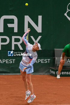 2024-07-20 - Aliaksandra Sasnovich during the quarter finals match vs. Anna Karolina Schmiedlova (SVK) at the WTA250 Hungarian Gran Prix Tennis on 19th July 2024 at Romai Teniszakademia, Budapest, Hungary - WTA HUNGARIAN GRAND PRIX - SEMIFINAL - INTERNATIONALS - TENNIS