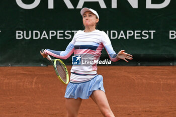 2024-07-20 - Aliaksandra Sasnovich during the quarter finals match vs. Anna Karolina Schmiedlova (SVK) at the WTA250 Hungarian Gran Prix Tennis on 19th July 2024 at Romai Teniszakademia, Budapest, Hungary - WTA HUNGARIAN GRAND PRIX - SEMIFINAL - INTERNATIONALS - TENNIS