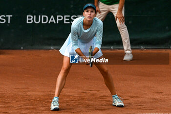 2024-07-20 - Anna Danilina(KAZ) playing duo with Irina Khromacheva during the semifinal match vs. Katarzyna Piter (POL) and Fanny Stollar (HUN) at the WTA250 Hungarian Gran Prix Tennis on 20th July 2024 at Romai Teniszakademia, Budapest, Hungary - WTA HUNGARIAN GRAND PRIX - SEMIFINAL - INTERNATIONALS - TENNIS