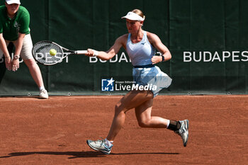 2024-07-19 - Suzan Lamens (NED) during the quarter finals match vs. Aliaksandra Sasnovich at the WTA250 Hungarian Gran Prix Tennis on 19th July 2024 at Romai Teniszakademia, Budapest, Hungary - WTA HUNGARIAN GRAND PRIX - QUARTER FINALS  - INTERNATIONALS - TENNIS