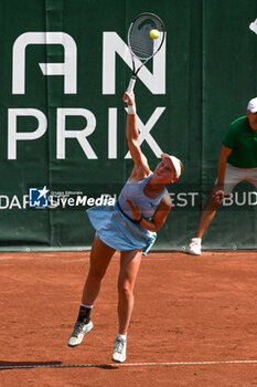 2024-07-19 - Suzan Lamens (NED) during the quarter finals match vs. Aliaksandra Sasnovich at the WTA250 Hungarian Gran Prix Tennis on 19th July 2024 at Romai Teniszakademia, Budapest, Hungary - WTA HUNGARIAN GRAND PRIX - QUARTER FINALS  - INTERNATIONALS - TENNIS