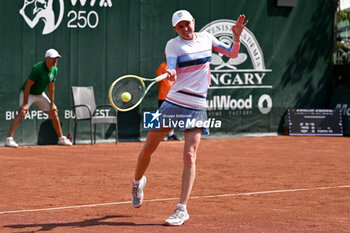 2024-07-19 - Aliaksandra Sasnovich during the quarter finals match vs. Suzan Lamens (NED) at the WTA250 Hungarian Gran Prix Tennis on 19th July 2024 at Romai Teniszakademia, Budapest, Hungary - WTA HUNGARIAN GRAND PRIX - QUARTER FINALS  - INTERNATIONALS - TENNIS