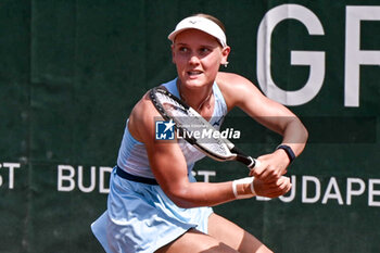 2024-07-19 - Suzan Lamens (NED) during the quarter finals match vs. Aliaksandra Sasnovich at the WTA250 Hungarian Gran Prix Tennis on 19th July 2024 at Romai Teniszakademia, Budapest, Hungary - WTA HUNGARIAN GRAND PRIX - QUARTER FINALS  - INTERNATIONALS - TENNIS