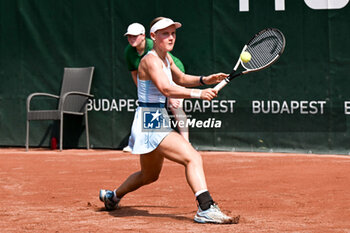 2024-07-19 - Suzan Lamens (NED) during the quarter finals match vs. Aliaksandra Sasnovich at the WTA250 Hungarian Gran Prix Tennis on 19th July 2024 at Romai Teniszakademia, Budapest, Hungary - WTA HUNGARIAN GRAND PRIX - QUARTER FINALS  - INTERNATIONALS - TENNIS