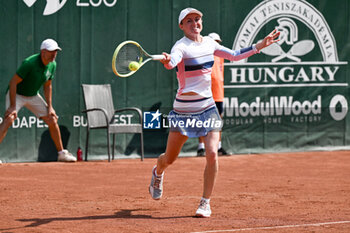 2024-07-19 - Aliaksandra Sasnovich during the quarter finals match vs. Suzan Lamens (NED) at the WTA250 Hungarian Gran Prix Tennis on 19th July 2024 at Romai Teniszakademia, Budapest, Hungary - WTA HUNGARIAN GRAND PRIX - QUARTER FINALS  - INTERNATIONALS - TENNIS