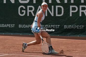 2024-07-19 - Suzan Lamens (NED) during the quarter finals match vs. Aliaksandra Sasnovich at the WTA250 Hungarian Gran Prix Tennis on 19th July 2024 at Romai Teniszakademia, Budapest, Hungary - WTA HUNGARIAN GRAND PRIX - QUARTER FINALS  - INTERNATIONALS - TENNIS