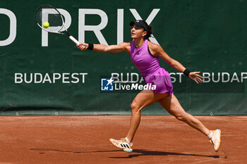 2024-07-19 - Elina Avanesyan during the quarter finals match vs. Anna Karolina Schmiedlova (SVK) at the WTA250 Hungarian Gran Prix Tennis on 19th July 2024 at Romai Teniszakademia, Budapest, Hungary - WTA HUNGARIAN GRAND PRIX - QUARTER FINALS  - INTERNATIONALS - TENNIS