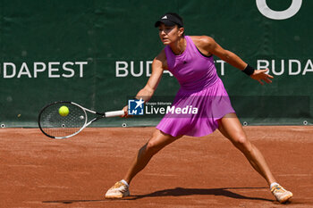 2024-07-19 - Elina Avanesyan during the quarter finals match vs. Anna Karolina Schmiedlova (SVK) at the WTA250 Hungarian Gran Prix Tennis on 19th July 2024 at Romai Teniszakademia, Budapest, Hungary - WTA HUNGARIAN GRAND PRIX - QUARTER FINALS  - INTERNATIONALS - TENNIS