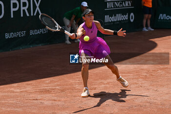 2024-07-19 - Elina Avanesyan during the quarter finals match vs. Anna Karolina Schmiedlova (SVK) at the WTA250 Hungarian Gran Prix Tennis on 19th July 2024 at Romai Teniszakademia, Budapest, Hungary - WTA HUNGARIAN GRAND PRIX - QUARTER FINALS  - INTERNATIONALS - TENNIS