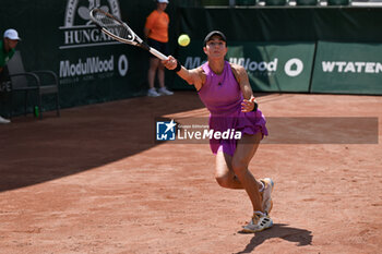 2024-07-19 - Elina Avanesyan during the quarter finals match vs. Anna Karolina Schmiedlova (SVK) at the WTA250 Hungarian Gran Prix Tennis on 19th July 2024 at Romai Teniszakademia, Budapest, Hungary - WTA HUNGARIAN GRAND PRIX - QUARTER FINALS  - INTERNATIONALS - TENNIS