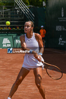 2024-07-19 - Anna Karolina Schmiedlova (SVK) during the quarter finals match vs. Elina Avanesyan at the WTA250 Hungarian Gran Prix Tennis on 19th July 2024 at Romai Teniszakademia, Budapest, Hungary - WTA HUNGARIAN GRAND PRIX - QUARTER FINALS  - INTERNATIONALS - TENNIS