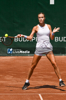 2024-07-19 - Elina Avanesyan during the quarter finals match vs. Anna Karolina Schmiedlova (SVK) at the WTA250 Hungarian Gran Prix Tennis on 19th July 2024 at Romai Teniszakademia, Budapest, Hungary - WTA HUNGARIAN GRAND PRIX - QUARTER FINALS  - INTERNATIONALS - TENNIS