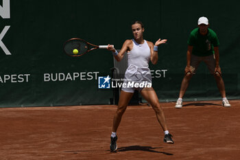 2024-07-19 - Elina Avanesyan during the quarter finals match vs. Anna Karolina Schmiedlova (SVK) at the WTA250 Hungarian Gran Prix Tennis on 19th July 2024 at Romai Teniszakademia, Budapest, Hungary - WTA HUNGARIAN GRAND PRIX - QUARTER FINALS  - INTERNATIONALS - TENNIS