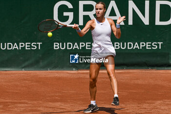 2024-07-19 - Elina Avanesyan during the quarter finals match vs. Anna Karolina Schmiedlova (SVK) at the WTA250 Hungarian Gran Prix Tennis on 19th July 2024 at Romai Teniszakademia, Budapest, Hungary - WTA HUNGARIAN GRAND PRIX - QUARTER FINALS  - INTERNATIONALS - TENNIS