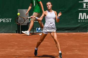 2024-07-19 - Anna Karolina Schmiedlova (SVK) during the quarter finals match vs. Elina Avanesyan at the WTA250 Hungarian Gran Prix Tennis on 19th July 2024 at Romai Teniszakademia, Budapest, Hungary - WTA HUNGARIAN GRAND PRIX - QUARTER FINALS  - INTERNATIONALS - TENNIS