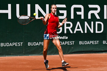 2024-07-19 - Anna Karolina Schmiedlova (SVK) during the quarter finals match vs. Elina Avanesyan at the WTA250 Hungarian Gran Prix Tennis on 19th July 2024 at Romai Teniszakademia, Budapest, Hungary - WTA HUNGARIAN GRAND PRIX - QUARTER FINALS  - INTERNATIONALS - TENNIS