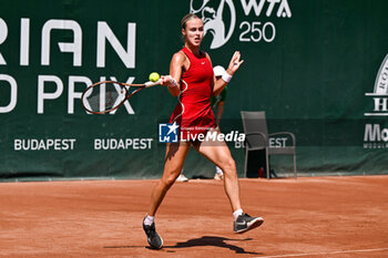 2024-07-19 - Anna Karolina Schmiedlova (SVK) during the quarter finals match vs. Elina Avanesyan at the WTA250 Hungarian Gran Prix Tennis on 19th July 2024 at Romai Teniszakademia, Budapest, Hungary - WTA HUNGARIAN GRAND PRIX - QUARTER FINALS  - INTERNATIONALS - TENNIS