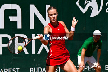 2024-07-19 - Timea Babos (HUN) playing duo with Ellen
Perez (AUS) during the semifinal match vs. Katarzyna Piter (POL) and Fanny Stollar (HUN) at the WTA250 Hungarian Gran Prix Tennis on 18th July 2024 at Romai Teniszakademia, Budapest, Hungary - WTA HUNGARIAN GRAND PRIX - QUARTER FINALS  - INTERNATIONALS - TENNIS