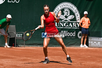 2024-07-19 - Anna Karolina Schmiedlova (SVK) during the quarter finals match vs. Elina Avanesyan at the WTA250 Hungarian Gran Prix Tennis on 19th July 2024 at Romai Teniszakademia, Budapest, Hungary - WTA HUNGARIAN GRAND PRIX - QUARTER FINALS  - INTERNATIONALS - TENNIS